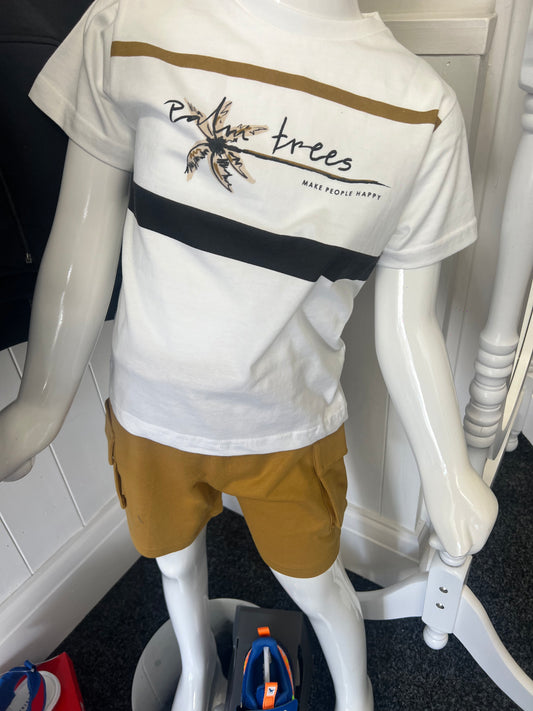 Boys two piece shorts and t shirt set