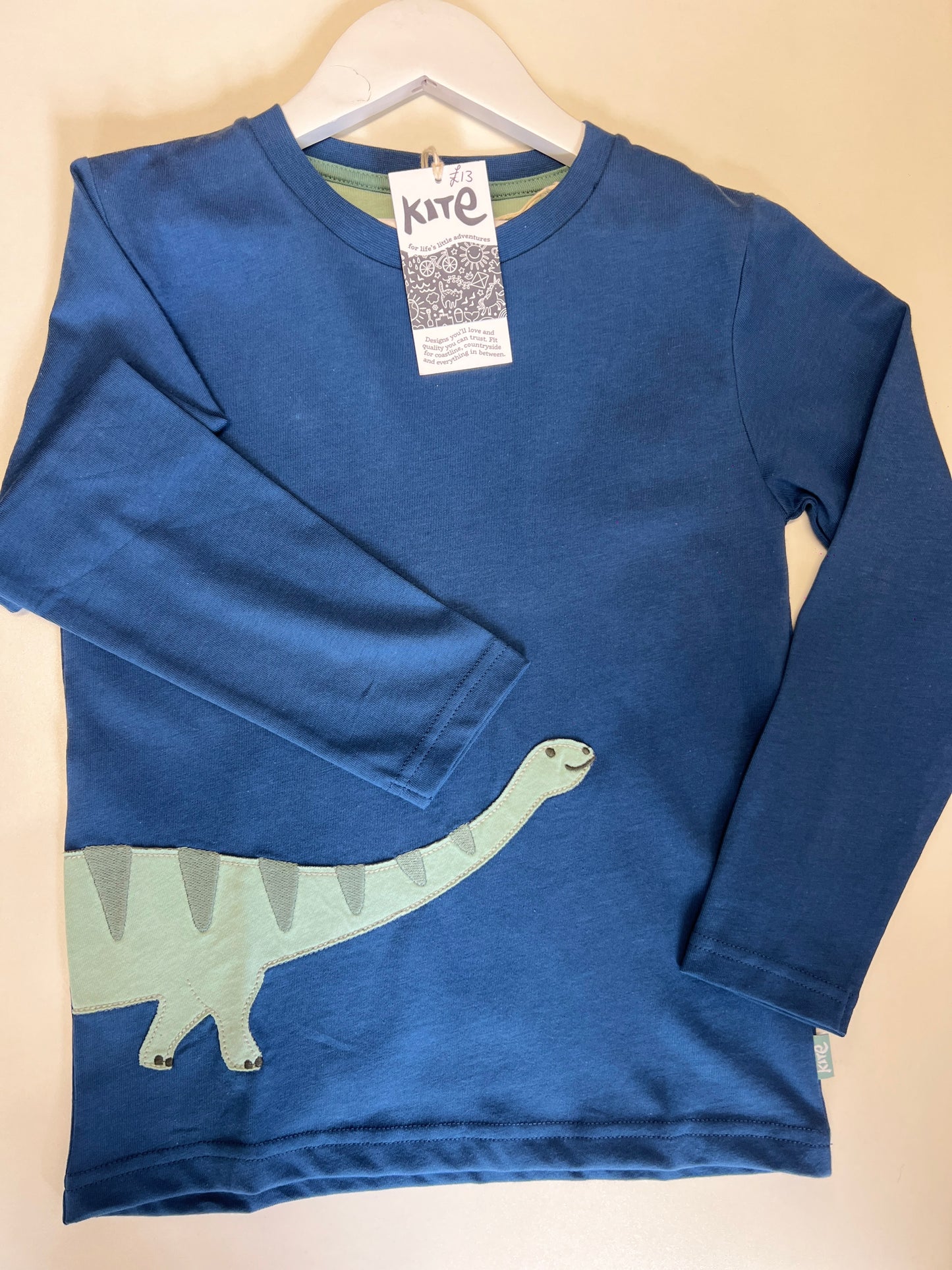 Kite long sleeve dinosaur t shirt