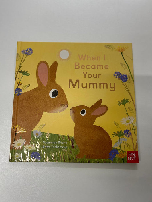 When i became your mummy book